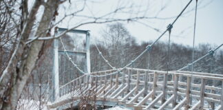 Robežžogs uz Latvijas – Baltkrievijas robežas. Foto: Roberts Kļeščinskis