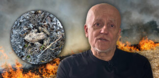 Kūlas dedzināšana ir bīstama ne tikai dzīvniekiem, bet arī cilvēkiem, norāda Latgales zoodārza direktors, herpetologs Mihails Pupiņš. Kolāža: Chayka.lv