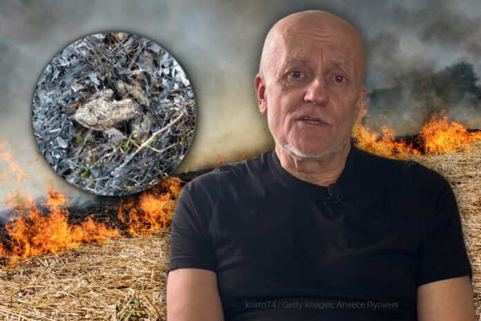 Mihails Pupiņš Kūlas dedzināšana ir bīstama ne tikai dzīvniekiem, bet arī cilvēkiem, norāda Latgales zoodārza direktors, herpetologs Mihails Pupiņš. Kolāža: Chayka.lv