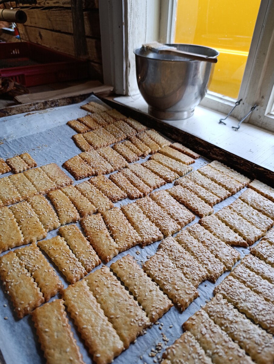 Maiznīca "Miltuotos rankos". 2026. gada 19. jūnijs. Foto: Evita Savicka