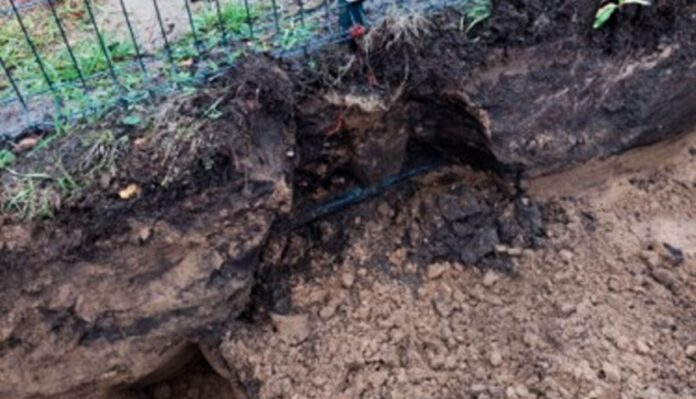 Šā gada pirmajos sešos mēnešos mežizstrādes, lauksaimniecības, rakšanas un citu saimniecisko darbu laikā bojāti vairāk nekā 220 "Sadales tīkla" objekti. Uzņēmums norāda, ka 70 % gadījumu darbi pirms tam nebija saskaņoti. Foto: ausdaugavasnovads.lv