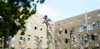 Vairākos centralizētajos eksāmenos 2025.–2026. mācību gadā Daugavpils skolēnu rezultāti pārsniedz Latvijas vidējos rādītājus. Foto: daugavpils.lv