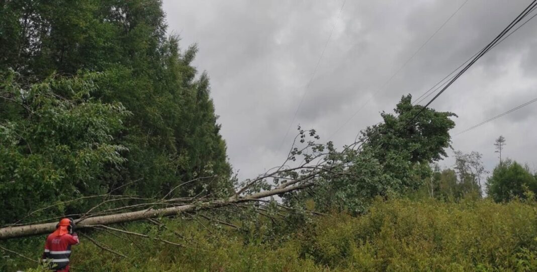 Vētras bojātie elektrotīkli. Foto: Augstsprieguma tīkls / Facebook Vētras bojātie elektrotīkli. Foto: Augstsprieguma tīkls / Facebook
