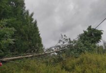 “Krīzei gatavojamies mēs visi, katrs savā mājā”: vētra izgaismo Latvijas civilās aizsardzības trūkumus Vētras bojātie elektrotīkli. Foto: Augstsprieguma tīkls / Facebook