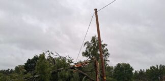 2026.gada 22. augustā pirmajās vētras stundās bez elektrības visā valstī palika aptuveni 277 000 klientu, bet pārrauto vadu dēļ daudzviet pazuda sakari, nedarbojās degvielas uzpildes stacijas un veikali. Foto no “Sadales tīkla” Facebook lapas