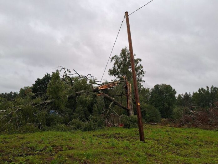 2026.gada 22. augustā pirmajās vētras stundās bez elektrības visā valstī palika aptuveni 277 000 klientu, bet pārrauto vadu dēļ daudzviet pazuda sakari, nedarbojās degvielas uzpildes stacijas un veikali. Foto no “Sadales tīkla” Facebook lapas