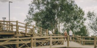Līdz 16. augustam Latgales zoodārzs aicina bērnus un pieaugušos piedalīties bezmaksas ģimenes izaicinājumā. Maršruts ved pa Esplanādes purva taku. Foto: Jevgeņijs Ratkovs. 2024. gada 3. augusts.