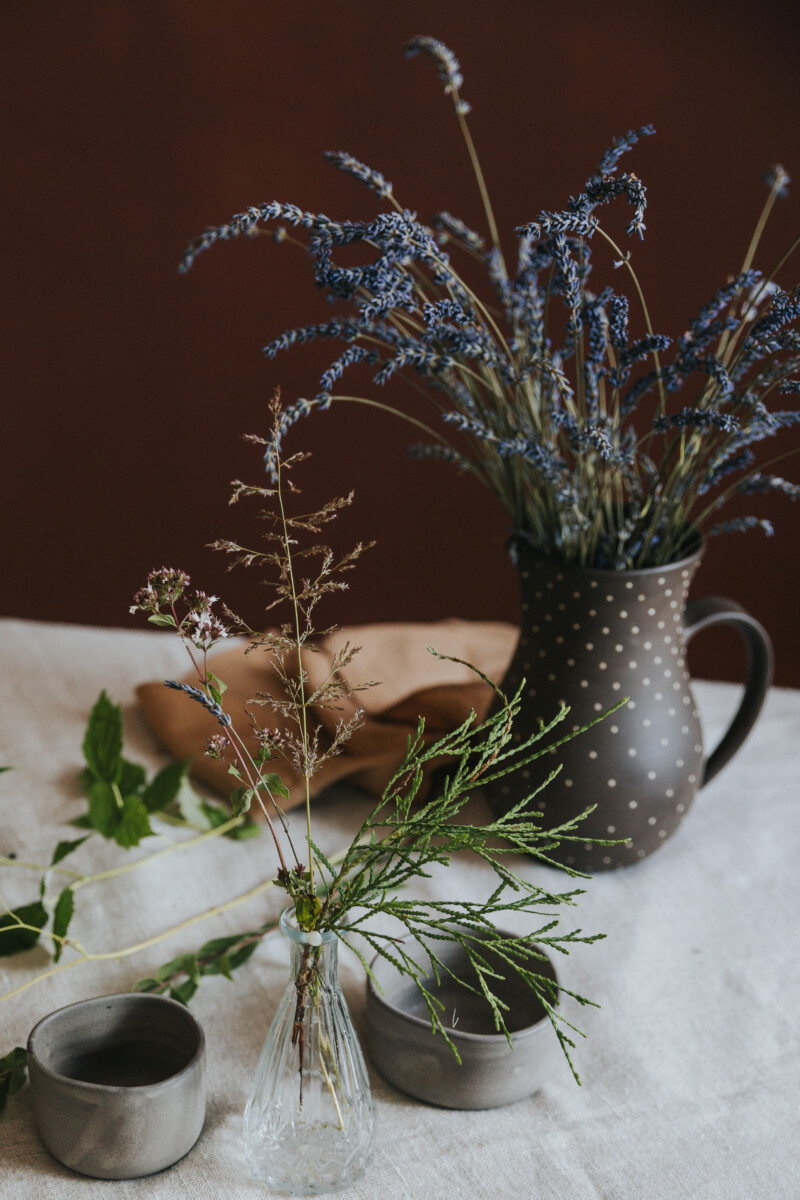 Lavandas zariņi pēc ziedēšanas — neaizmirstams, valdzinošs vasaras aromāts. Foto: Irina Maskaļenko