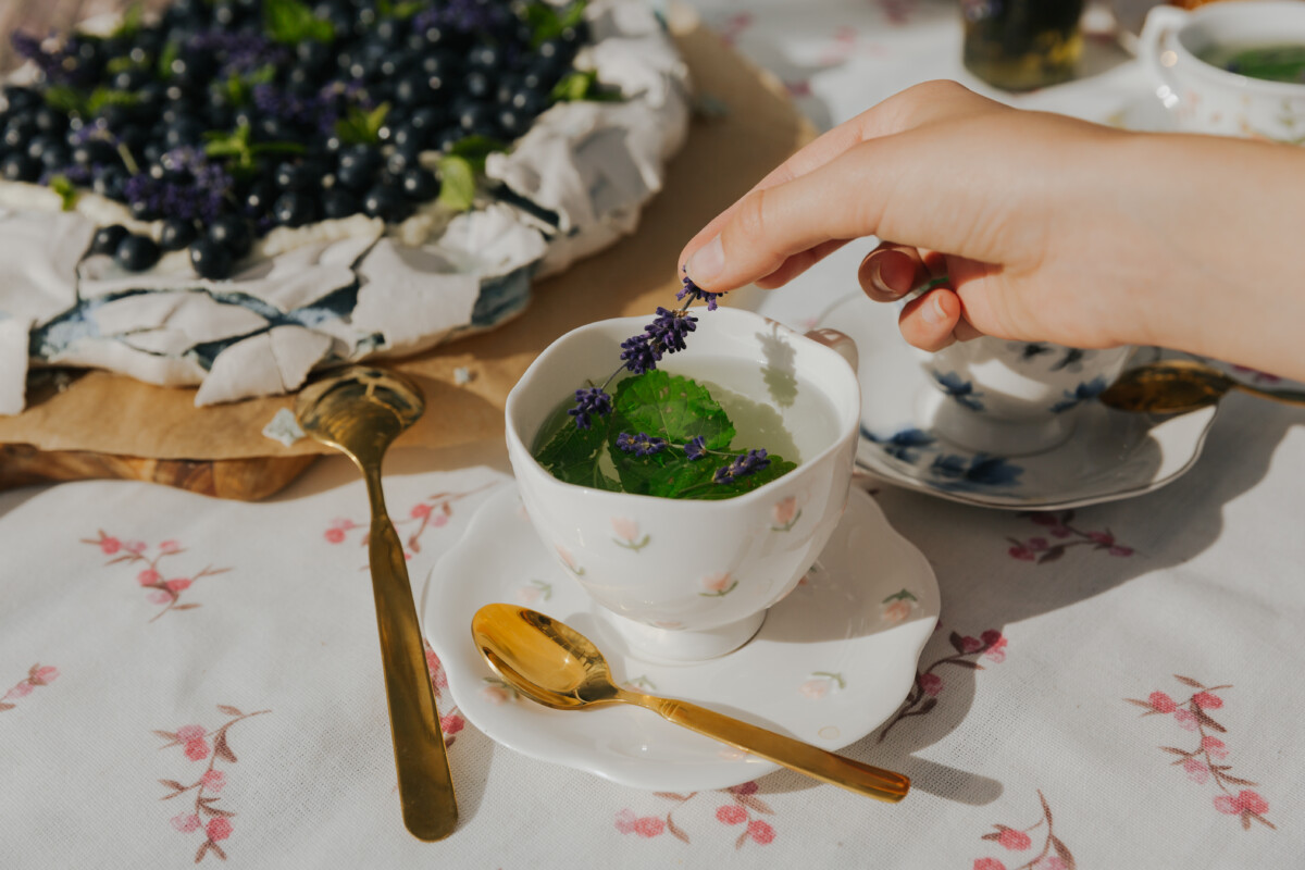 Signijas Zizlānes firmas ēdiens — Pavlovas kūka ar lavandu. Foto: Irina Maskaļenko