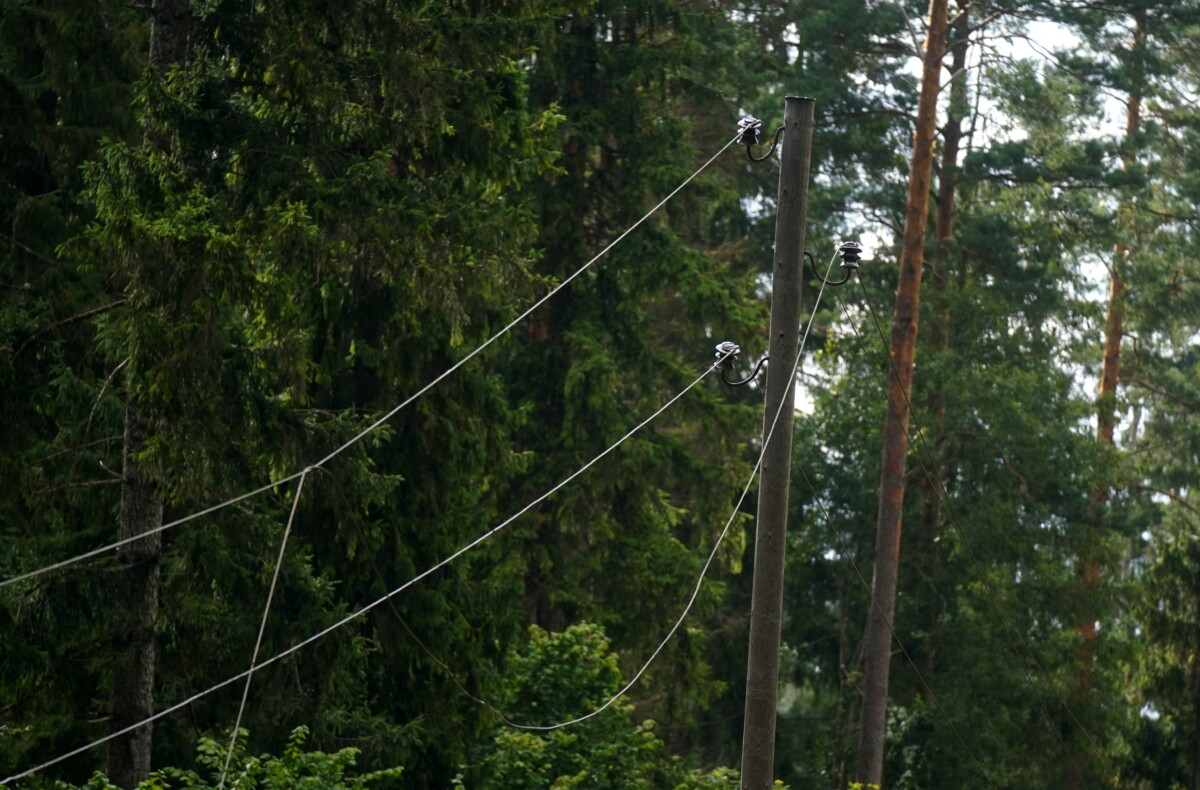 Vētras sarautie elektrolīniju vadi Jēkabpils novadā. 2026. gada 25. augusts. Foto: Zane Bitere / LETA