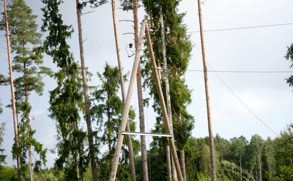 Vētras sarautie elektrolīniju vadi Jēkabpils novadā. 2026. gada 25. augusts. Foto: Zane Bitere / LETA