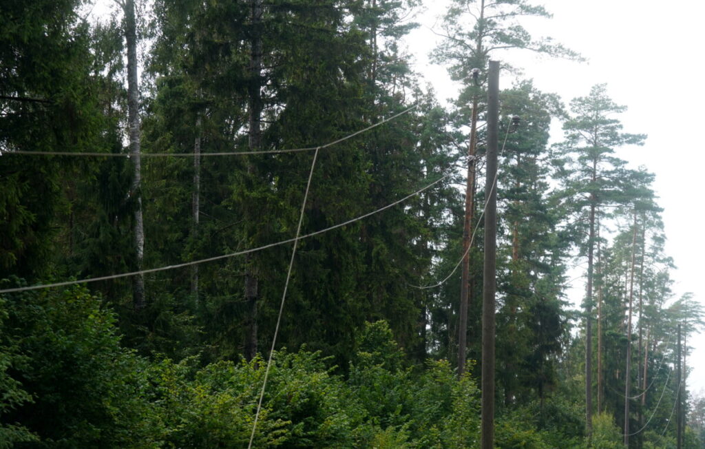 Vētras sarautie elektrolīniju vadi Jēkabpils novadā. 2026. gada 25. augusts. Foto: Zane Bitere / LETA