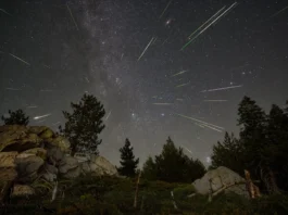 Perseīdu meteoru plūsma (2023. gads). Šogad to vislabāk varēs vērot naktī uz 13. augustu — tieši šajā laikā gaidāms tās aktivitātes maksimums. Foto: Preston Dyches / science.nasa.gov