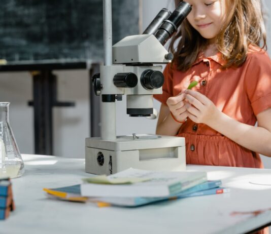 Sestdien, 15. augustā, Mērsragā pirmo reizi notiks zinātnes festivāls "Mērsraga ābols". Ilustratīvs attēls: Mart Production / Pexels