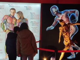 Iespaidīgā izstāde par cilvēka ķermeni, T-Fest šovs un filmas “Uļa” Latvijas pirmizrāde. Viedā afiša: Rīga. 2026. gada septembris No 17. septembra līdz 17. decembrim t/c Teika Plaza būs apskatāma izstāde par cilvēka ķermeni BODIES Evolution. Izstāde būs atvērta katru dienu no plkst. 10.00 līdz 20.00. Ilustratīvs foto: bodiesevolution.es