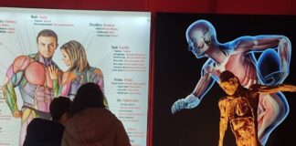 No 17. septembra līdz 17. decembrim t/c Teika Plaza būs apskatāma izstāde par cilvēka ķermeni BODIES Evolution. Izstāde būs atvērta katru dienu no plkst. 10.00 līdz 20.00. Ilustratīvs foto: bodiesevolution.es