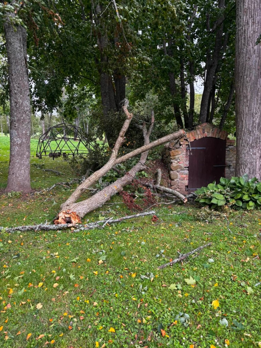 Postījumi Raiņa mājas Berķenelē teritorijā Augšdaugavas novadā. Foto: Raiņa māja Berķenelē / Facebook