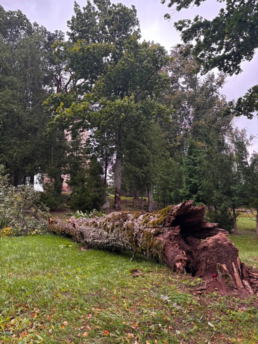 Postījumi Raiņa mājas Berķenelē teritorijā Augšdaugavas novadā. Foto: Raiņa māja Berķenelē / Facebook
