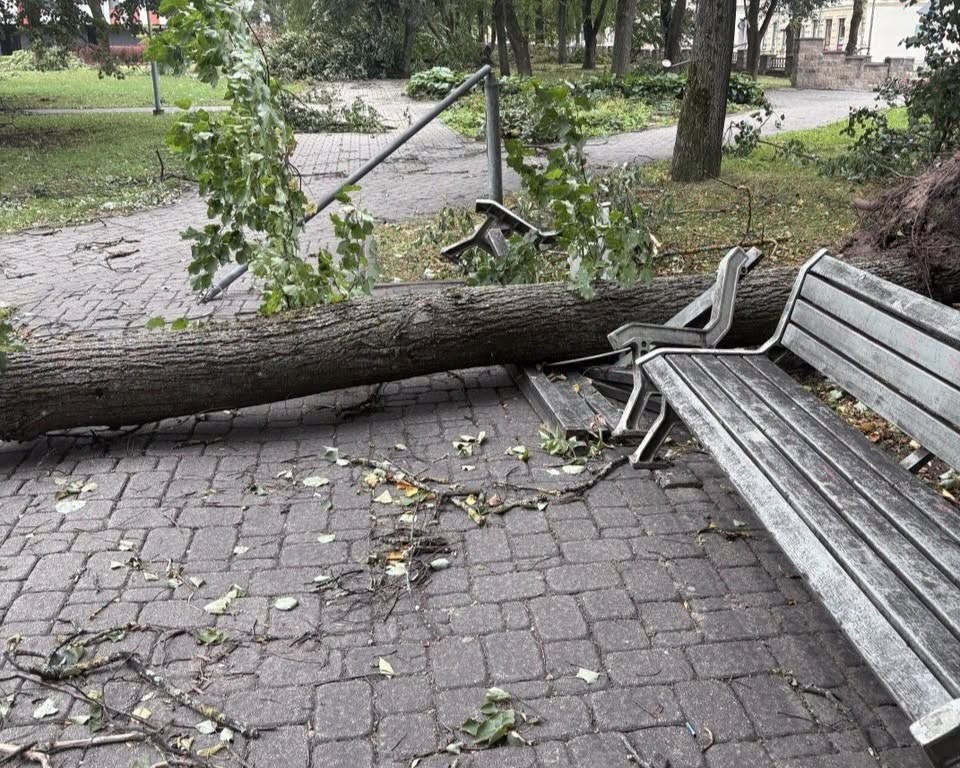 22. un 23. augusta vētras sekas Daugavpilī. Foto: Daugavpils Komunālās saimniecības pārvalde