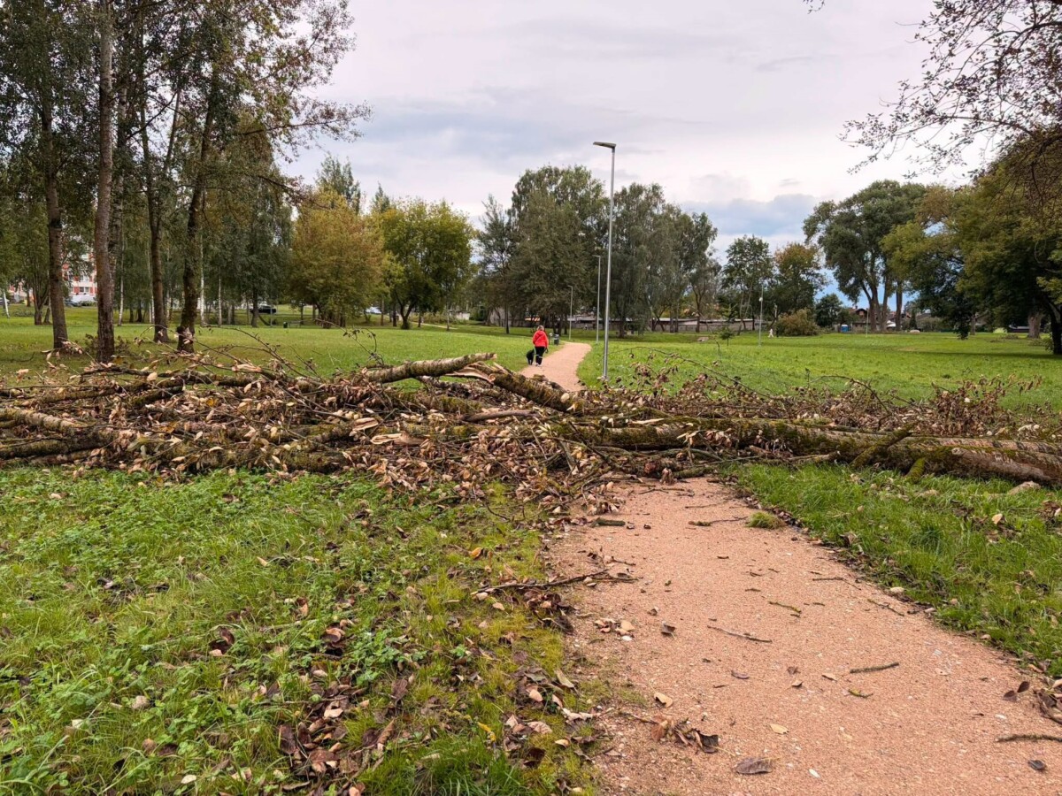 22. un 23. augusta vētras sekas Daugavpilī. Foto: Daugavpils Komunālās saimniecības pārvalde
