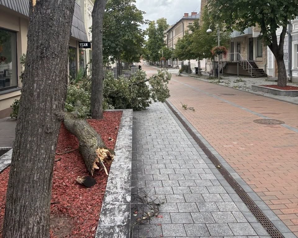22. un 23. augusta vētras sekas Daugavpilī. Foto: Daugavpils Komunālās saimniecības pārvalde