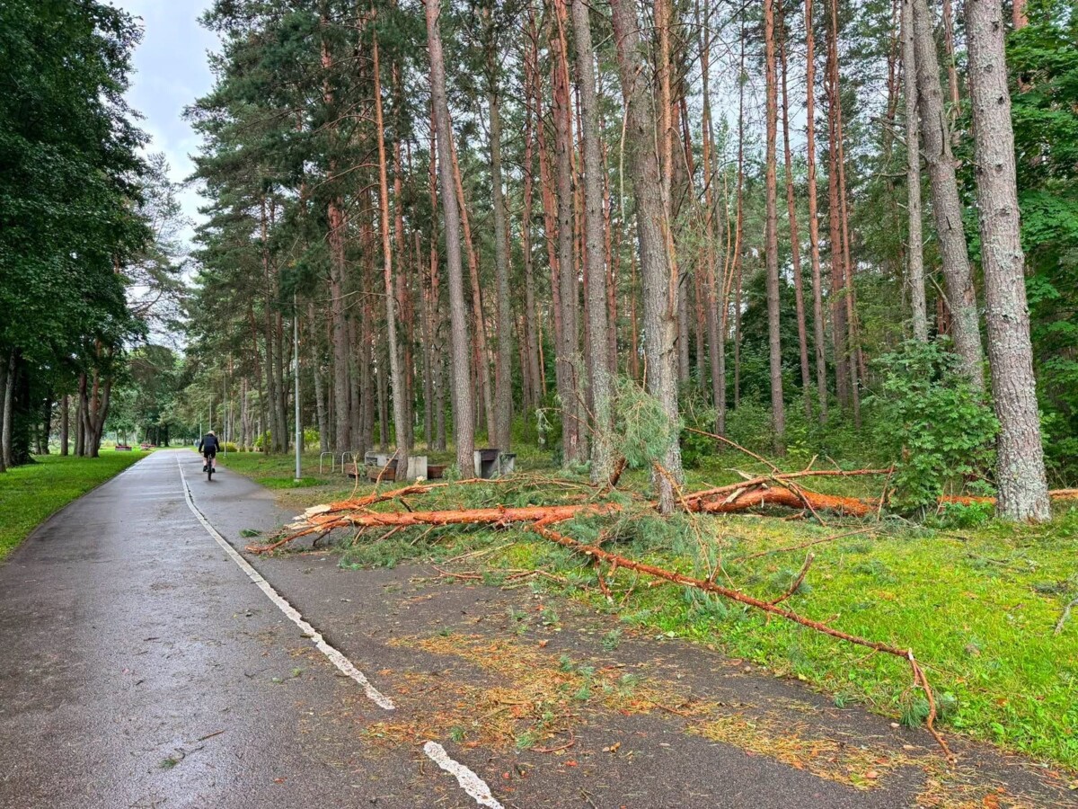 22. un 23. augusta vētras sekas Daugavpilī. Foto: Daugavpils Komunālās saimniecības pārvalde