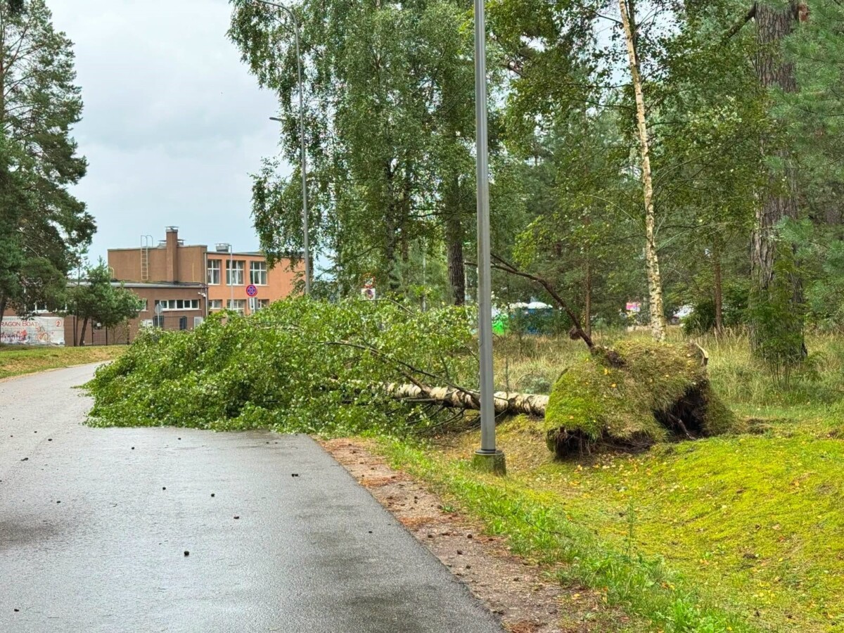 22. un 23. augusta vētras sekas Daugavpilī. Foto: Daugavpils Komunālās saimniecības pārvalde