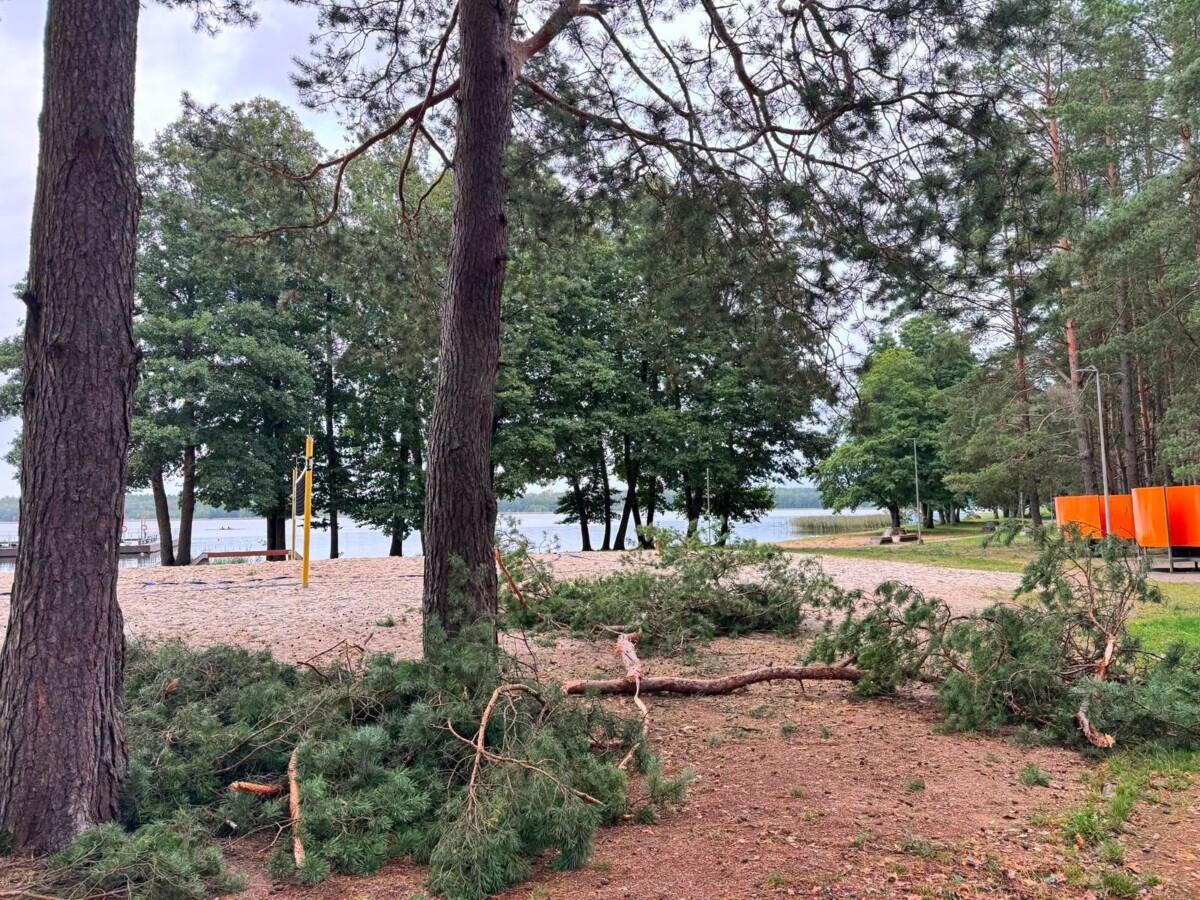 22. un 23. augusta vētras sekas Daugavpilī. Foto: Daugavpils Komunālās saimniecības pārvalde