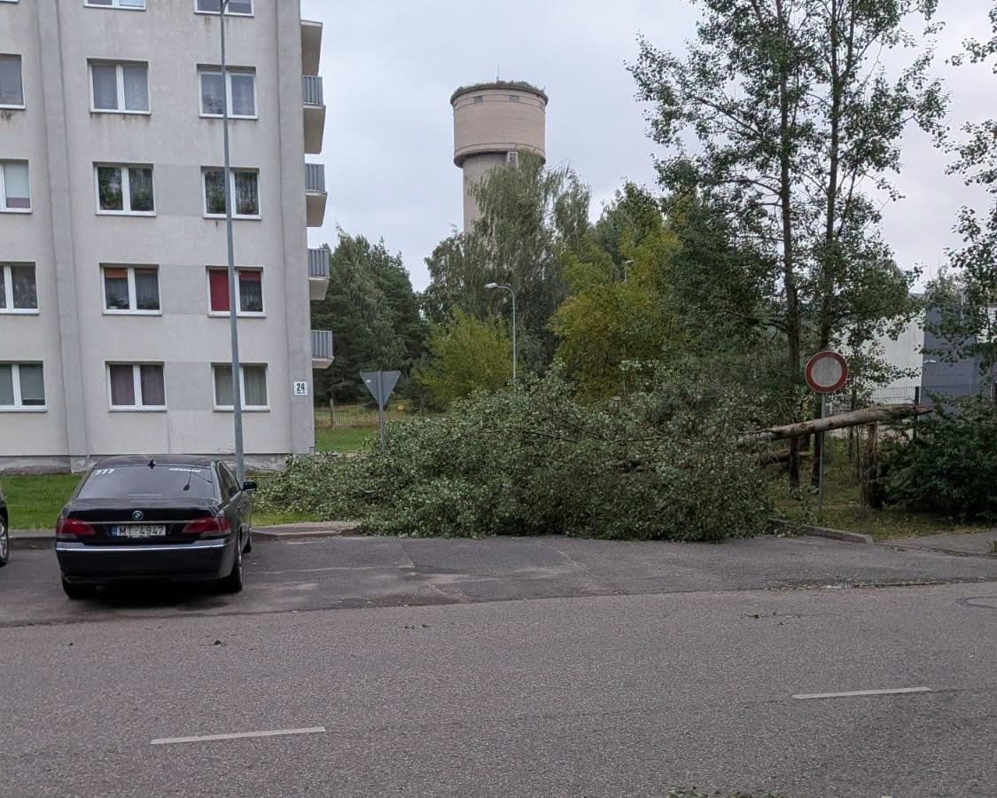 22. un 23. augusta vētras sekas Daugavpilī. Foto: Daugavpils Komunālās saimniecības pārvalde