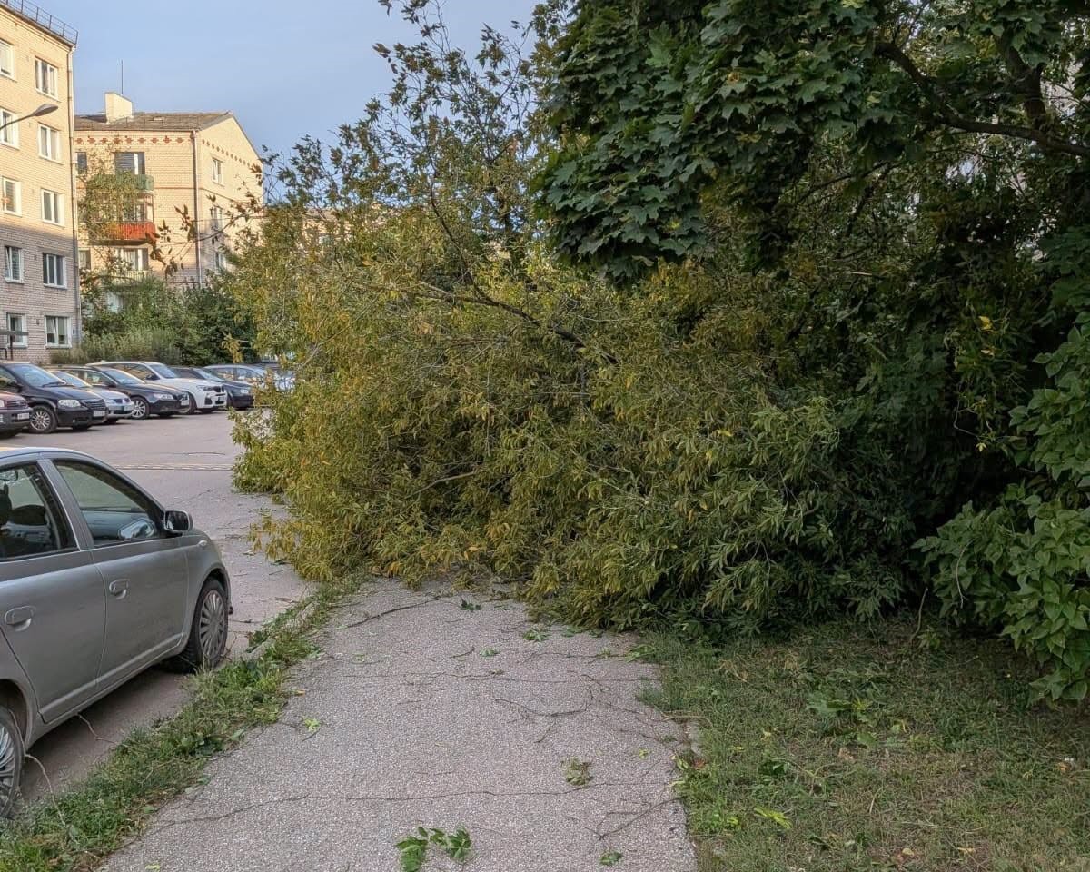 22. un 23. augusta vētras sekas Daugavpilī. Foto: Daugavpils Komunālās saimniecības pārvalde
