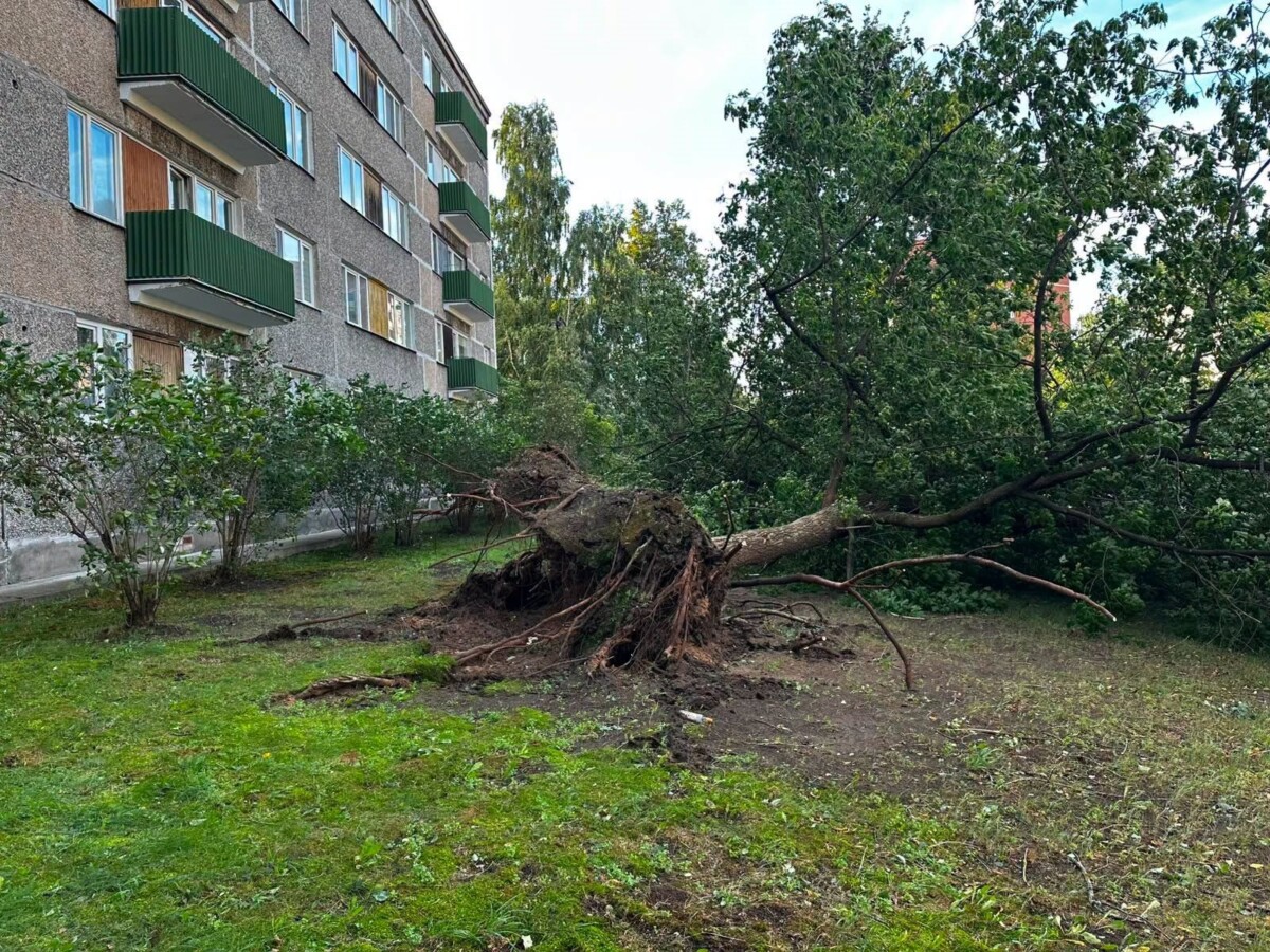 22. un 23. augusta vētras sekas Daugavpilī. Foto: Daugavpils Komunālās saimniecības pārvalde