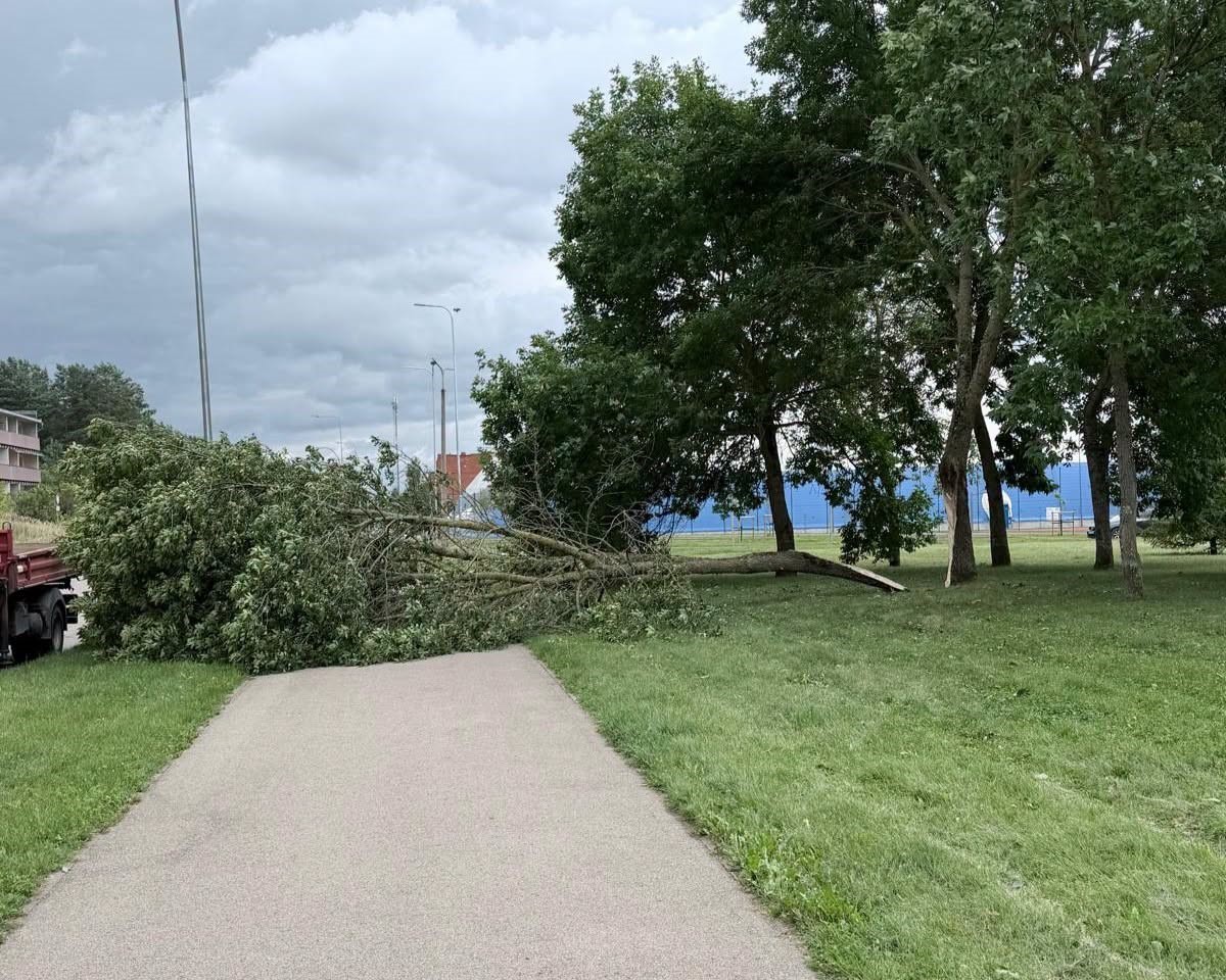 22. un 23. augusta vētras sekas Daugavpilī. Foto: Daugavpils Komunālās saimniecības pārvalde