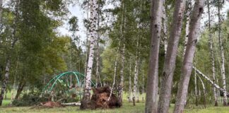 Vētras radītie postījumi Daugavpilī. Foto: Daugavpils Komunālās saimniecības pārvalde / Facebook