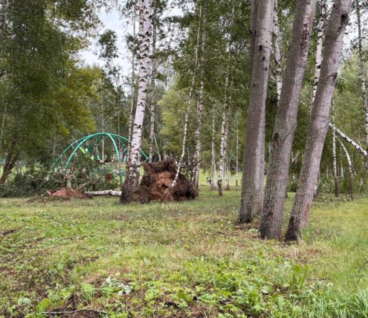 Vētras radītie postījumi Daugavpilī. Foto: Daugavpils Komunālās saimniecības pārvalde / Facebook