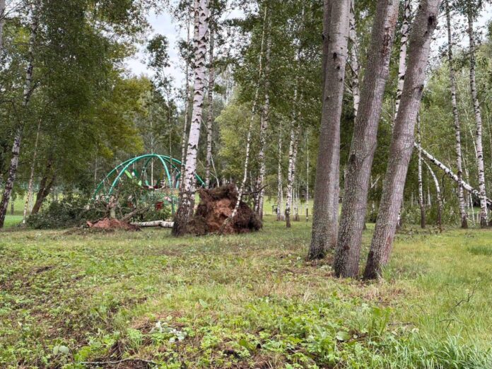Vētras radītie postījumi Daugavpilī. Foto: Daugavpils Komunālās saimniecības pārvalde / Facebook Vētras radītie postījumi Daugavpilī. Foto: Daugavpils Komunālās saimniecības pārvalde / Facebook
