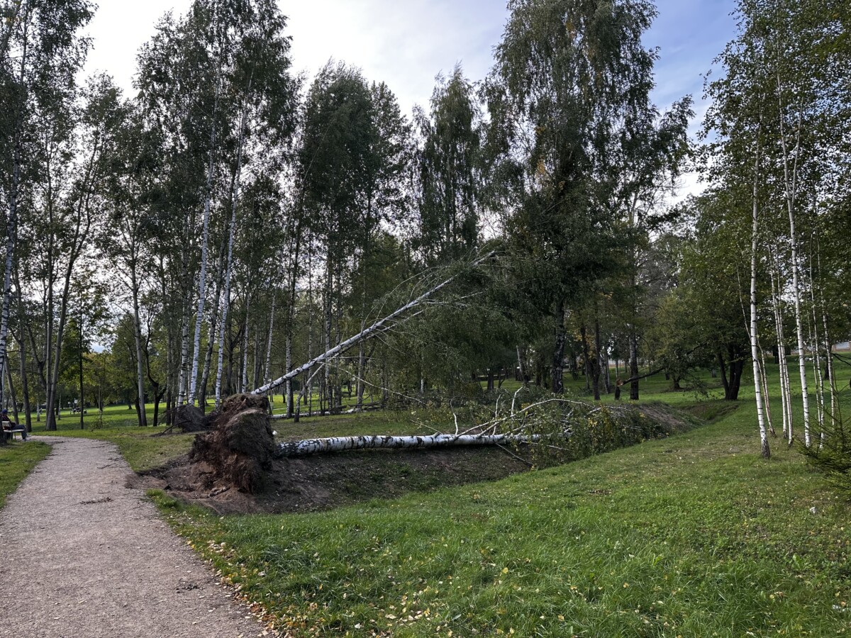 Avotiņu parks Ķīmijas apkaimē Daugavpilī. 2026. gada 31. augusts. Foto: Anastasija Šubina