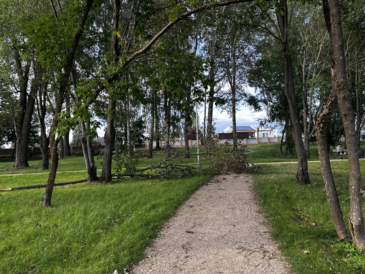 Avotiņu parks Ķīmijas apkaimē Daugavpilī. 2026. gada 31. augusts. Foto: Anastasija Šubina
