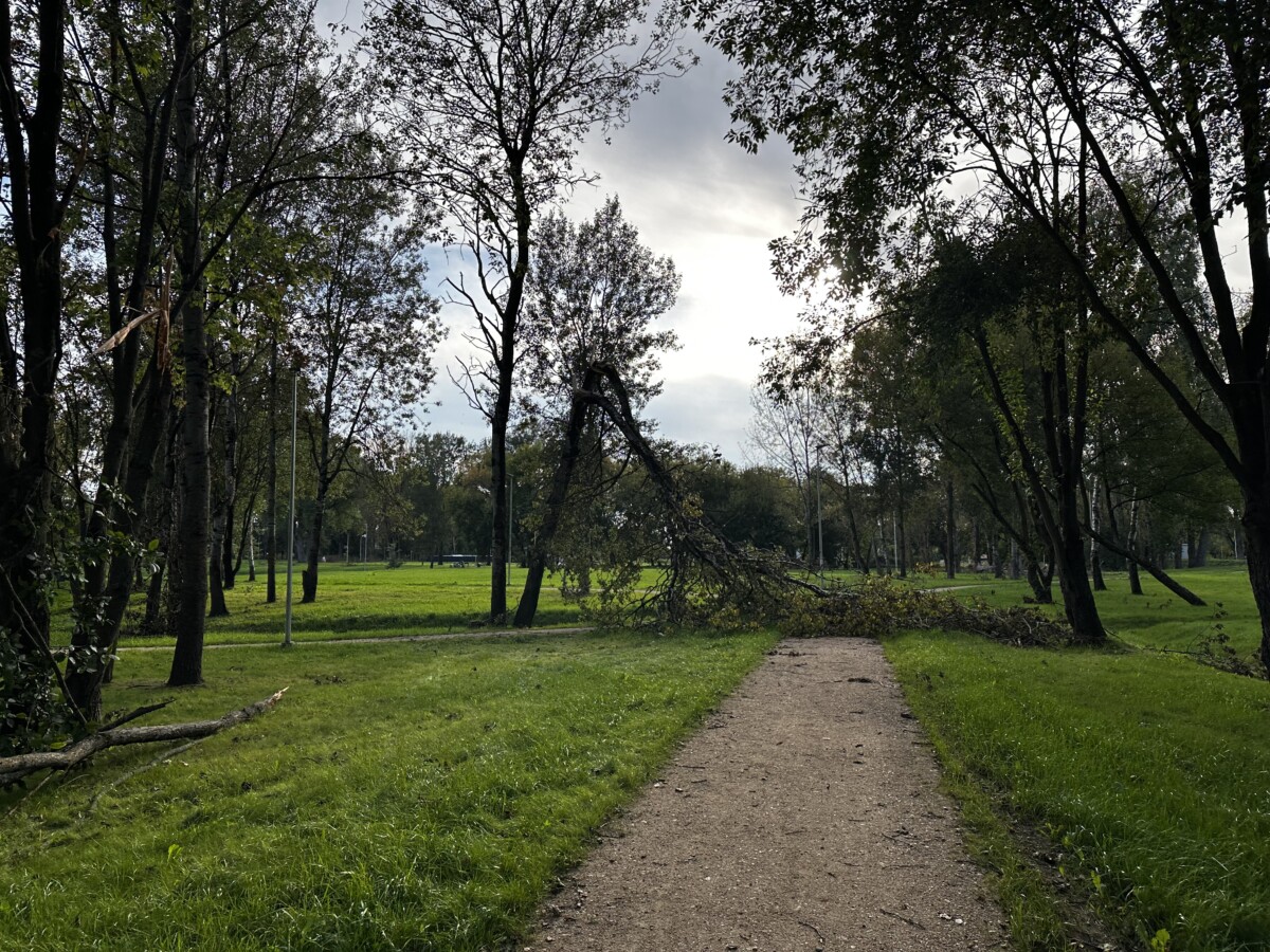 Avotiņu parks Ķīmijas apkaimē Daugavpilī. 2026. gada 31. augusts. Foto: Anastasija Šubina
