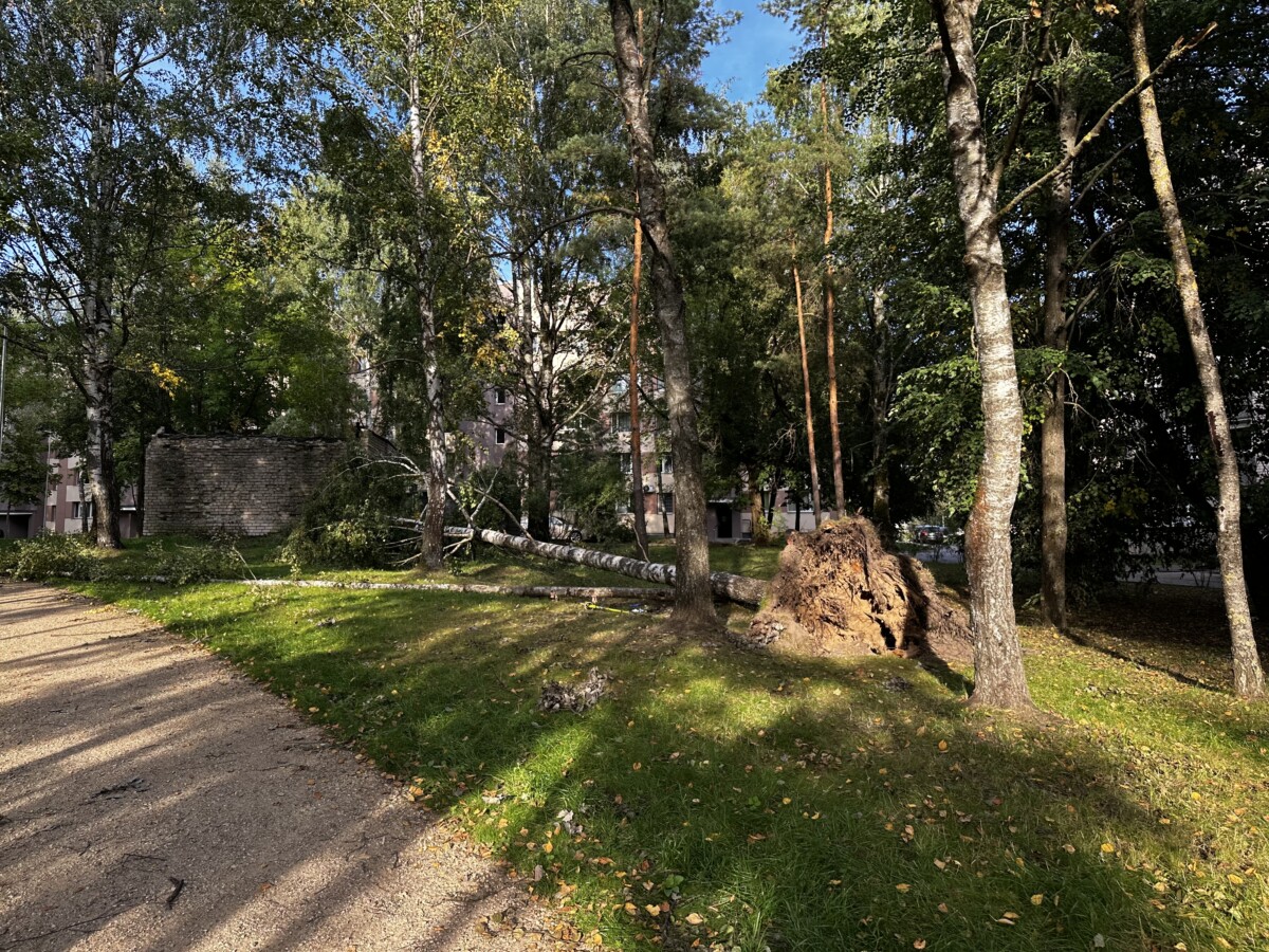 Avotiņu parks Ķīmijas apkaimē Daugavpilī. 2026. gada 31. augusts. Foto: Anastasija Šubina