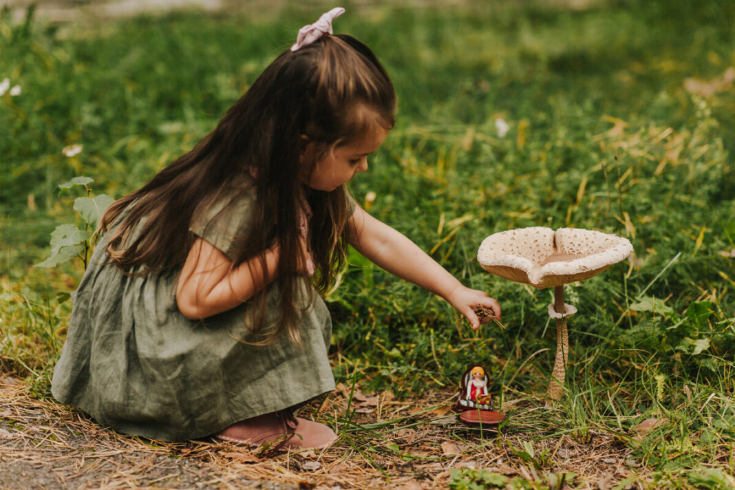 title Lielā dižsardzene (Macrolepiota procera). Foto: Irina Maskaļenko