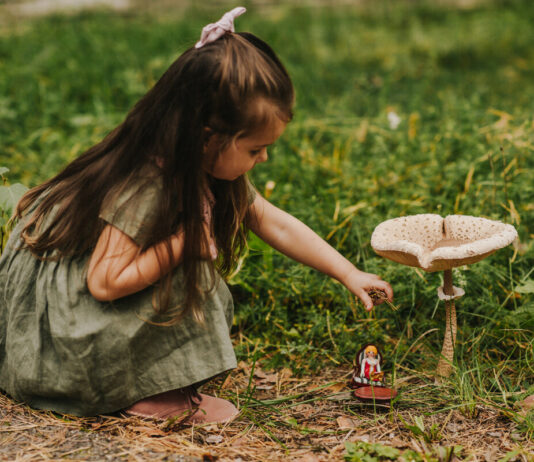Lielā dižsardzene (Macrolepiota procera). Foto: Irina Maskaļenko