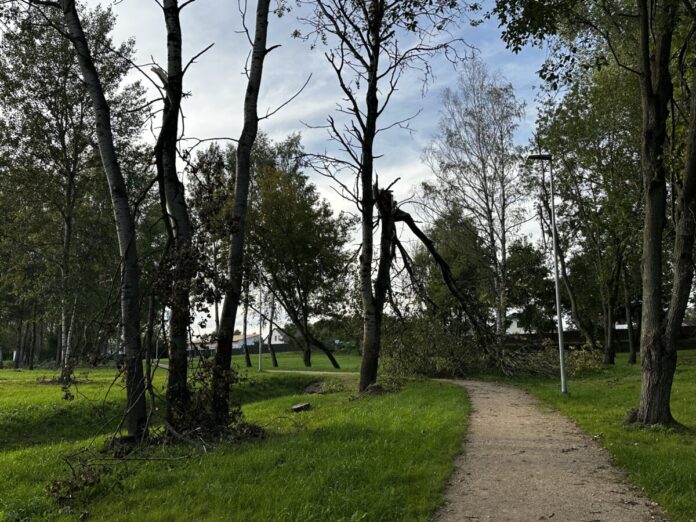 Avotiņu parks Ķīmijas apkaimē Daugavpilī. 2026. gada 31. augusts. Foto: Anastasija Šubina