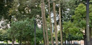 Vētras postījumi Daugavpilī 2026. gada 24. oktobrī. Foto: Daugavpils Komunālās saimniecības pārvalde