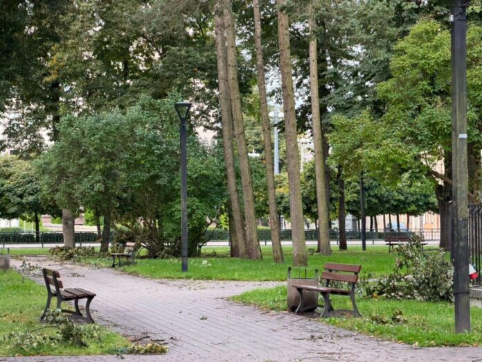 Vētras postījumi Daugavpilī 2026. gada 24. oktobrī. Foto: Daugavpils Komunālās saimniecības pārvalde