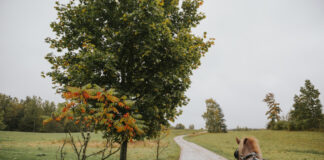 Rudens Krāslavas novadā, pie zirgu sētas “Klajumi”. 2026. gada 26. septembris. Foto: Irina Maskaļenko